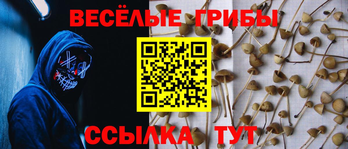 Псилоцибиновые грибы GOLDEN TEACHER Гулькевичи